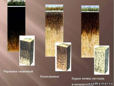 зональные типы почвы