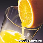 Апельсин комнатный