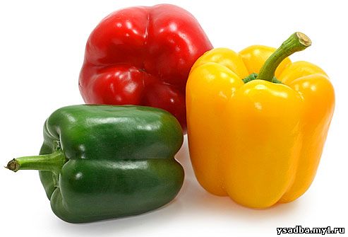 http://img.webmd.com/dtmcms/live/webmd/consumer_assets/site_images/articles/health_tools/organic_produce_slideshow/istock_photo_of_bell_peppers.jpg