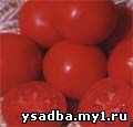 http://agromechta.narod.ru/Tomat_Al_Par.jpg